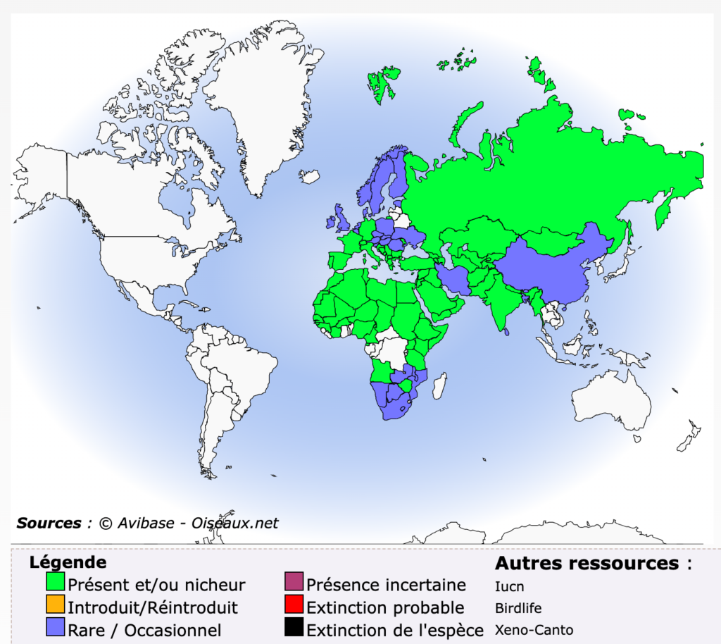 distribution du Percnoptère d'Egypte