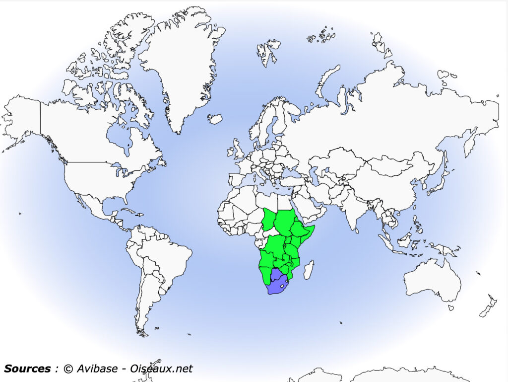 carte distribution buse augure